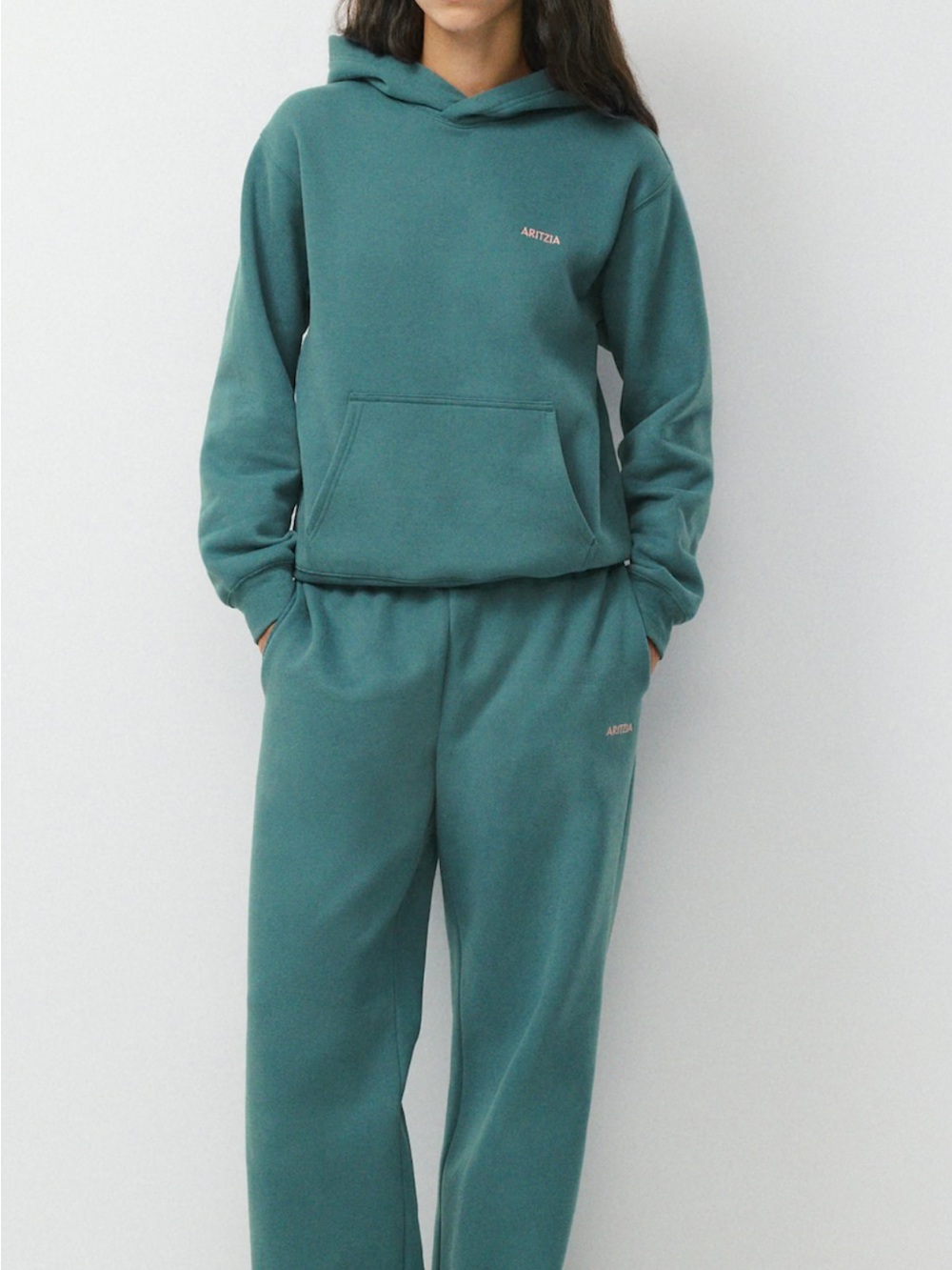 Aritzia Cozy Sweatfleece Agate Teal Hoodie